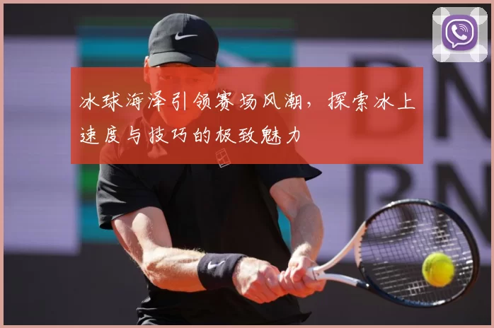 冰球海泽引领赛场风潮,探索冰上速度与技巧的极致魅力
